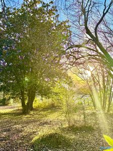 LOT 1 Corsbie St SW, Hartselle, AL, 35640