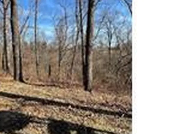 0 Highway 79, Louisiana, MO 63353