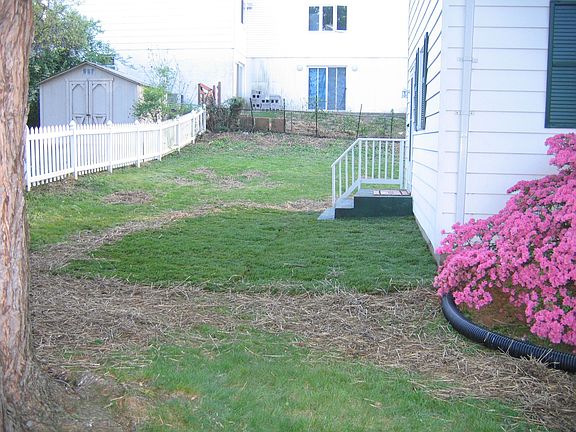 New sod and Landscaping completed