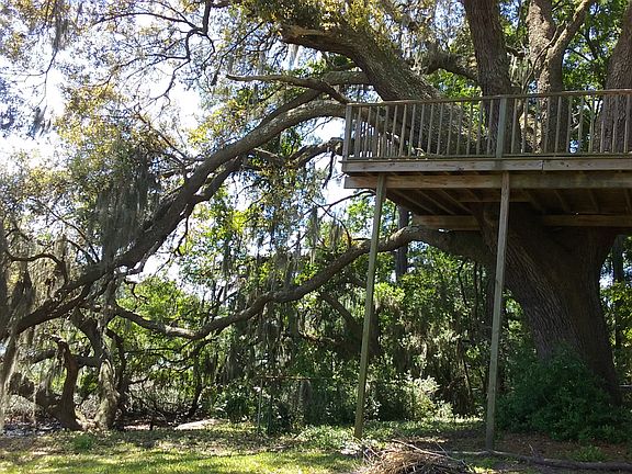 Tree Fort in Lowcountry Oak