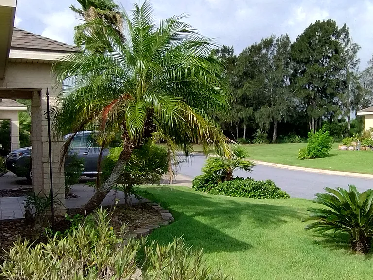 31 Pinehurst Dr — Photo 22