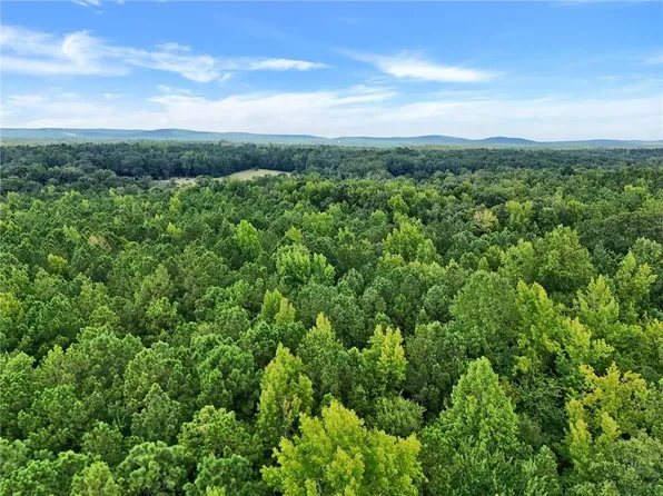 0 Adams Rd, Thomaston, GA 30286