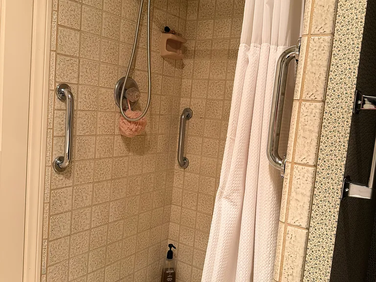 Guest Suite Walk-In Shower
