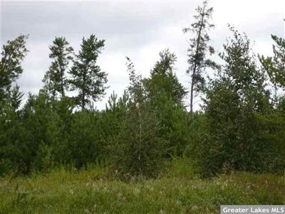 76th St SW, Motley, MN, 56466