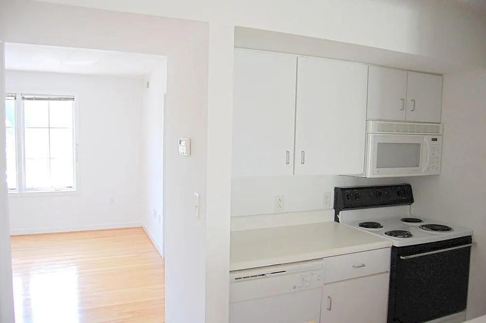 1 bed, 430 sqft, $1,675 — Photo 3