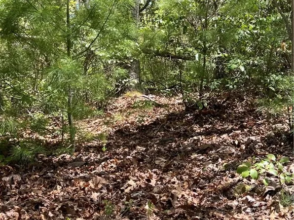 Lot 44 Brightwater Trail, West Jefferson, NC 28694