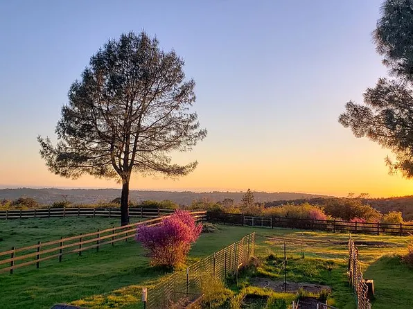 3580 Jackie Ln, Shingle Springs, CA 95682