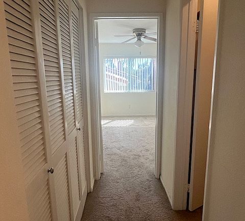 4th image of 7405 Charmant Dr #1918