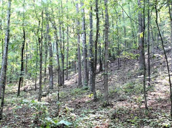 Dogwood Trl, Heber Springs, AR 72543