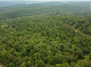 2 Forest St, Theodosia, MO 65761