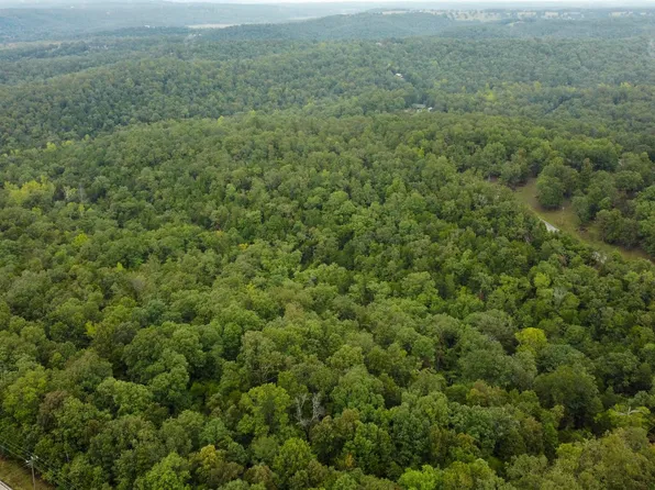 1 Crestview Dr Lot 6, Theodosia, MO 65761