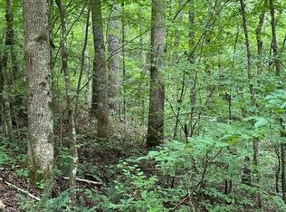 444 Joliet Dr, Ellijay, GA 30540