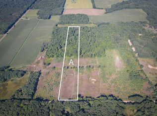 PARCEL N 168th Ave #A, Walkerville, MI 49459