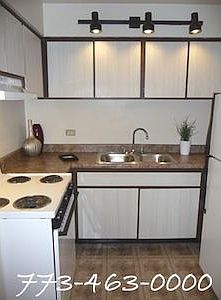 4th image of 229 Marengo Ave APT 306