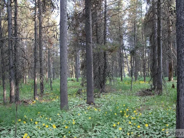 3511 Buffalo Ln, Island Park, ID 83429