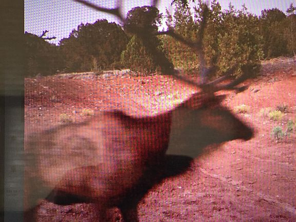 2nd image of 5479 N Ten Tanks Rd