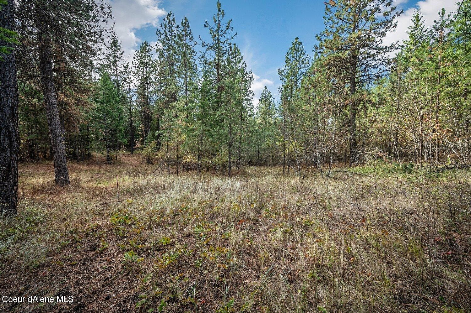 NNA Becky Ln, Worley, ID 83876 | MLS #23-3621 | Zillow