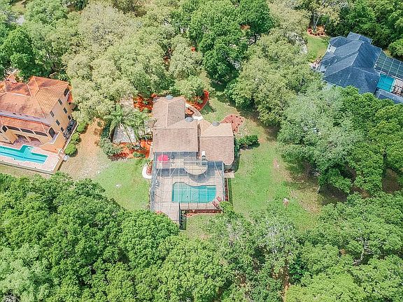 Surrounded By Beautiful Home