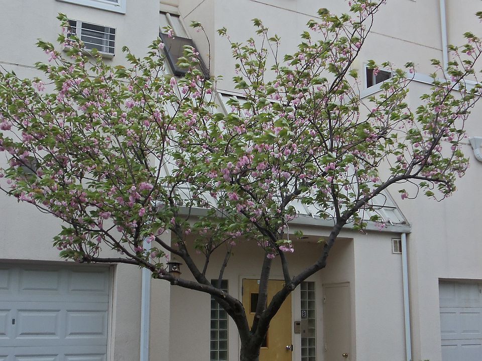 1st image of 2716 Schurz Ave APT B2