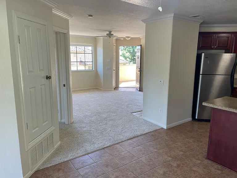 Living room and condo entrance