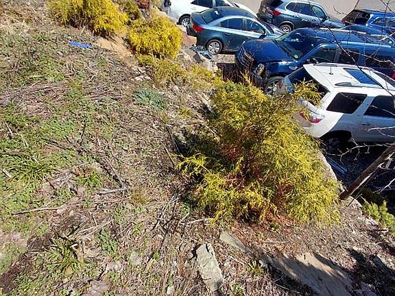 3rd image of 830 River Rd