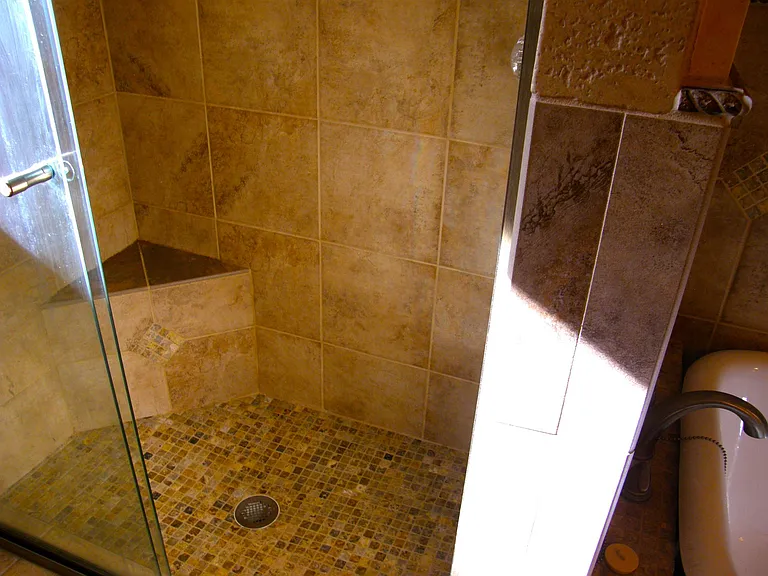 Master bath walk-in shower
