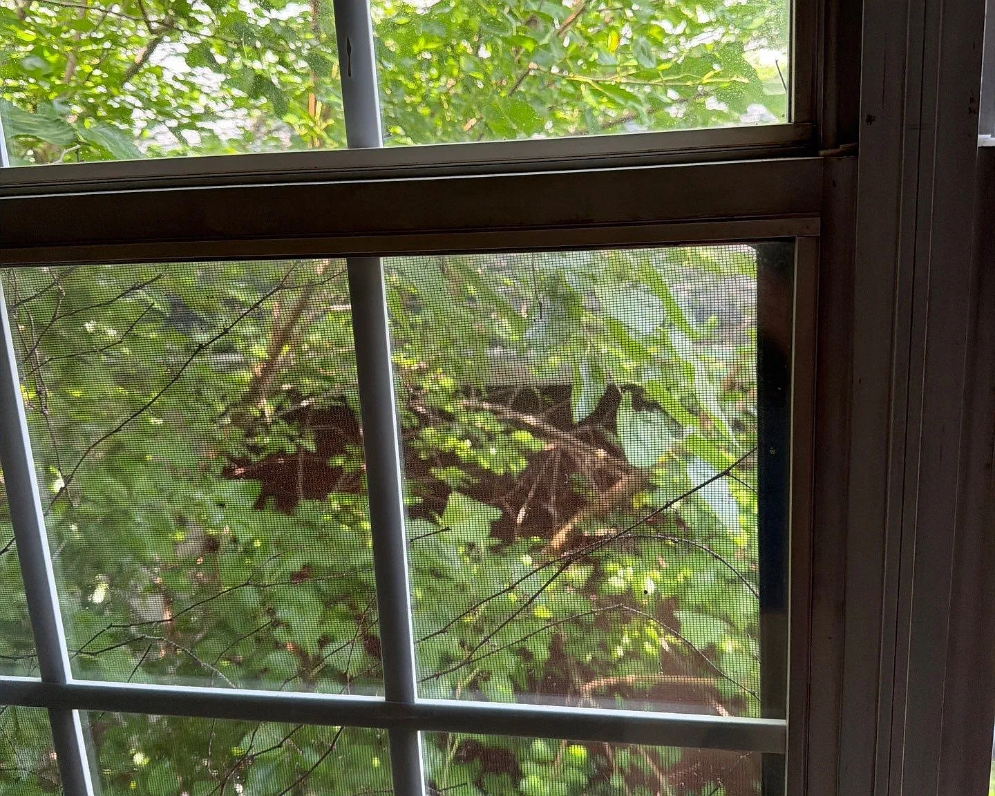 1 bed, 586 sqft, $720 — Photo 3
