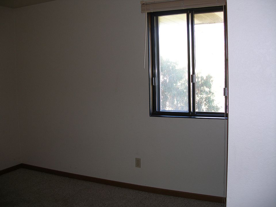 115 Carriage Way Palmrya image 6_09272016