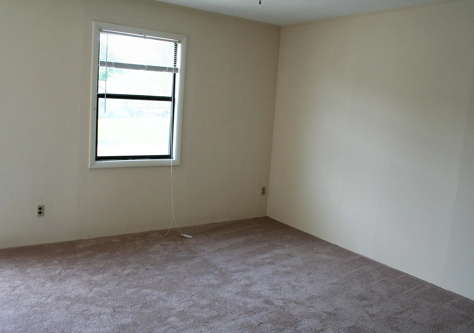 Willow Wood — Photo 1