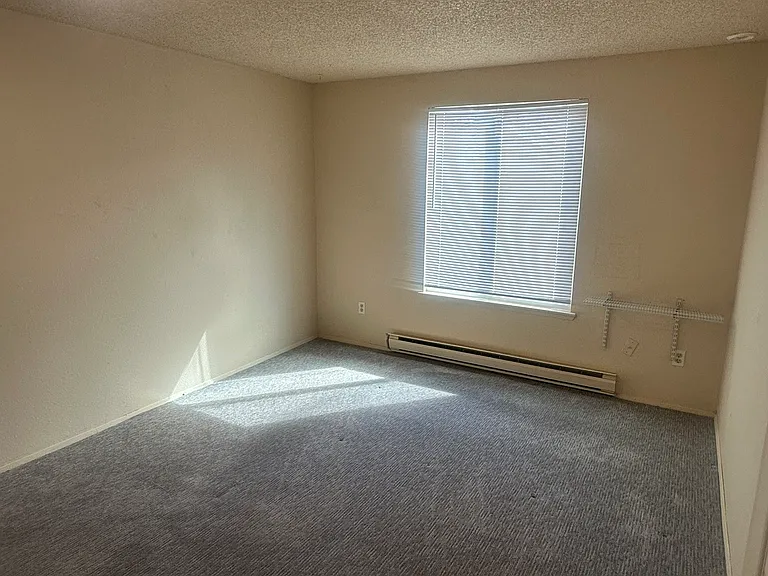 1520 W Clark St #E — Photo 7