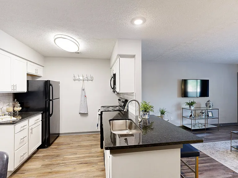 Silvertree at Little Turtle Apartments — Photo 17