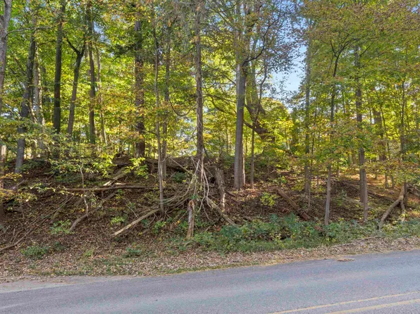 0 Traverse Ave, Benzonia, MI 49616