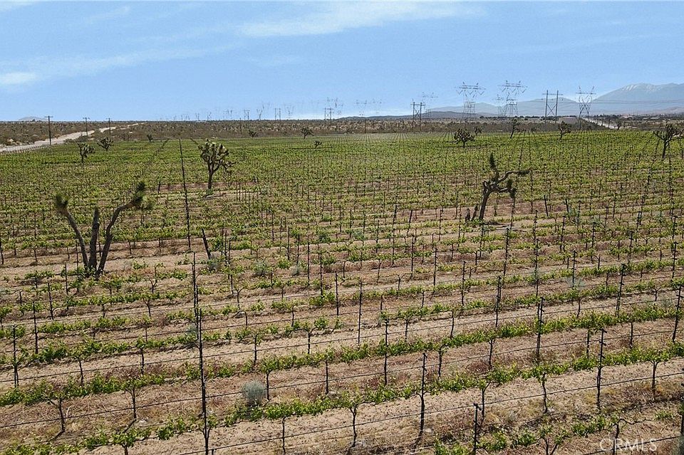 1st image of 0 Fort Tejon Vic 82nd St E