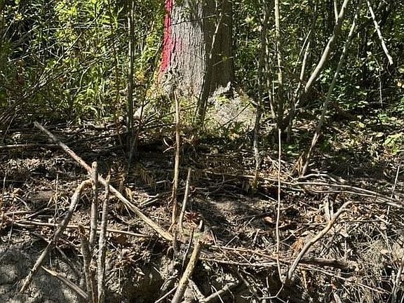 2nd image of Clark Hollow Rd