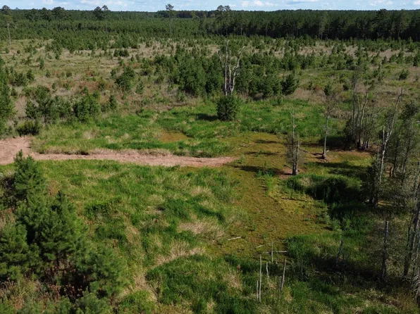 0 Bethel Forest Rd Tract 2 & 3, Orangeburg, SC 29115