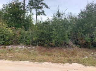 13th St, Orange City, FL 32763