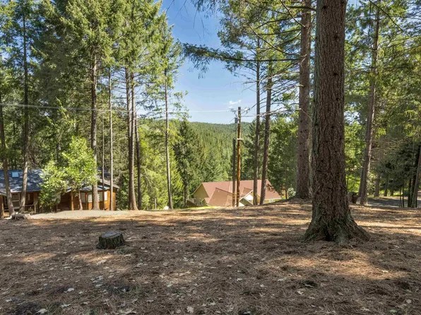 5651 Daisy Cir, Pollock Pines, CA 95726