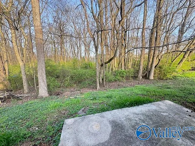 149 Hazel Trce — Photo 44
