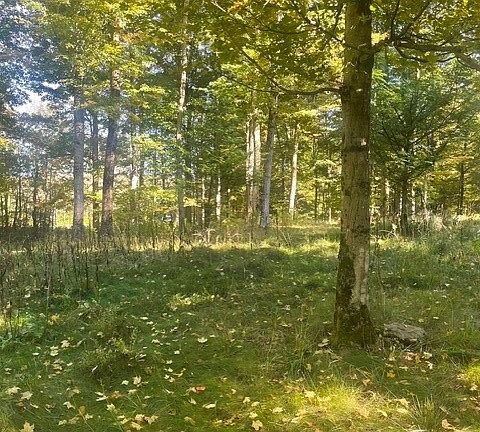 3rd image of Pleasant Rd Lot 56