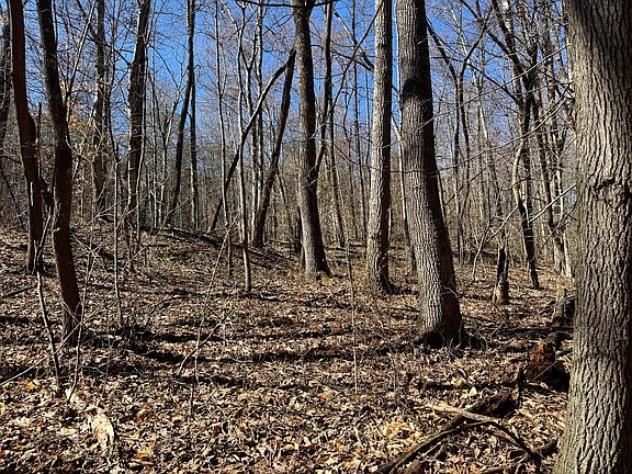 5th image of 1031 Poplar Ridge Rd