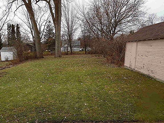 Back yard