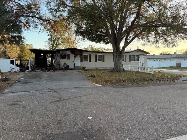 saint-petersburg-florida-81385803 picture