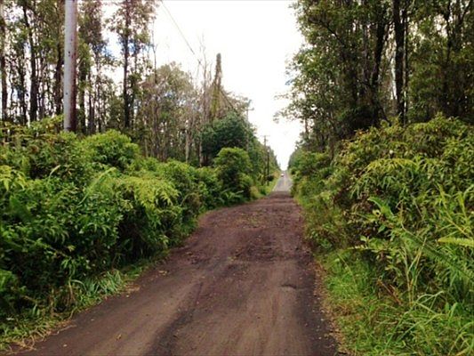 2nd image of Road 9 Koloa Maoli Lot 5415