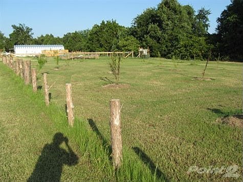 57377 New Orchard and fences