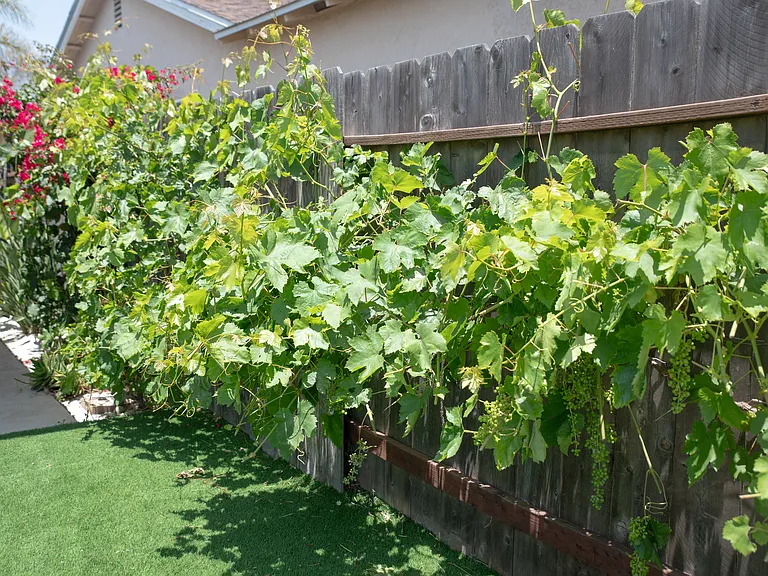 11357 Linares St — Photo 32