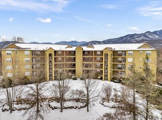 338 Pinnacle View Way SUITE 132, Gatlinburg, TN 37738