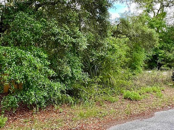 3rd image of 2519 Palmetto Ter