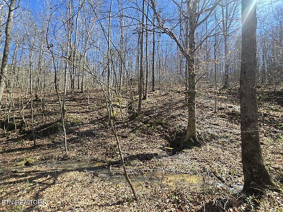 4th image of 0 Straight Fork Rd