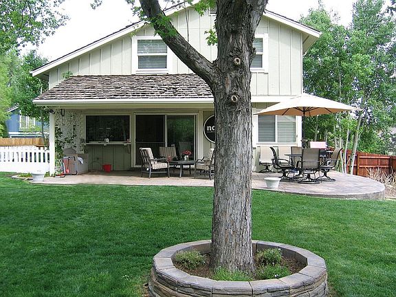 Back yard