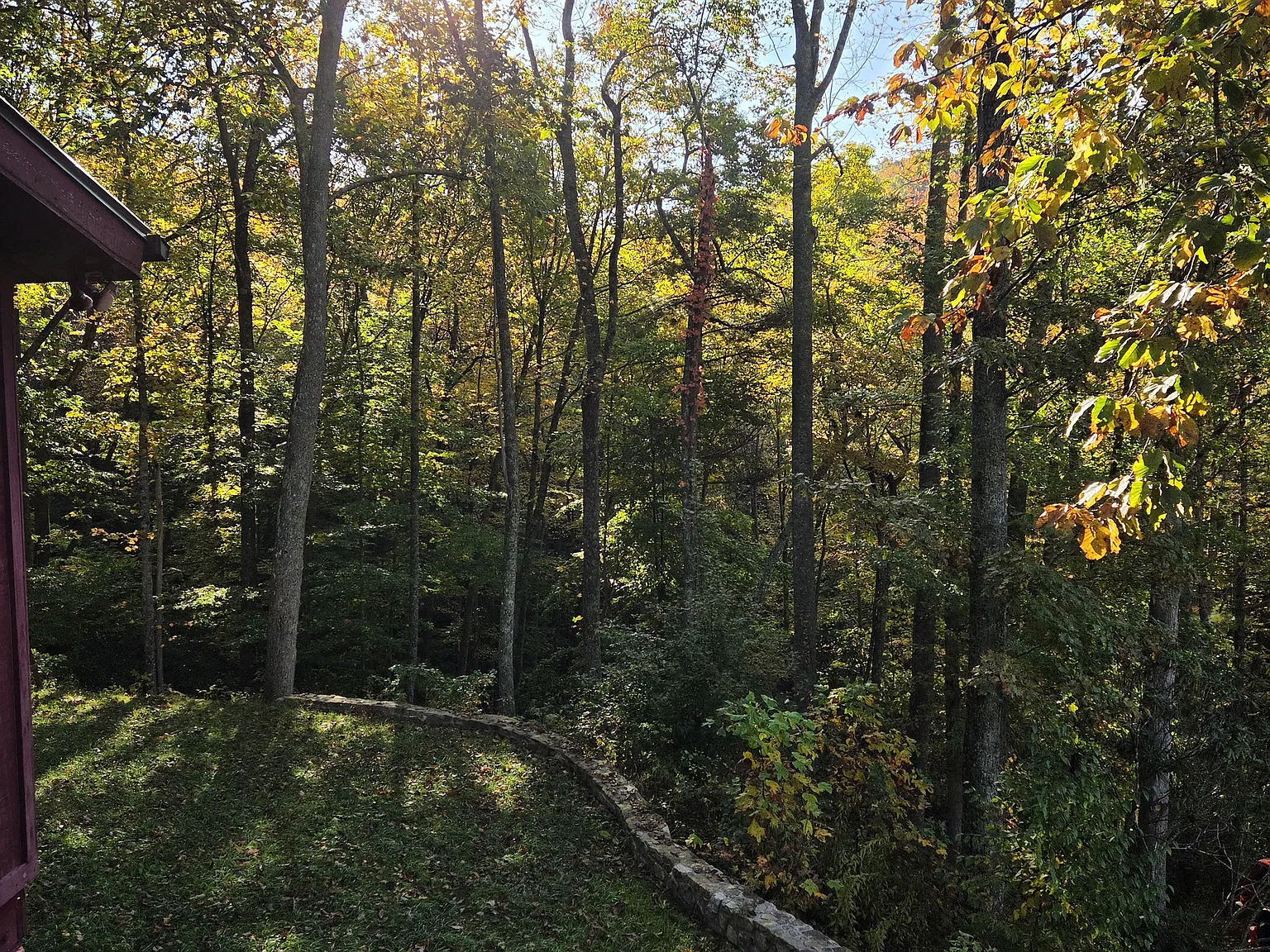 Arnett Hollow Rd, Vilas — Photo 4